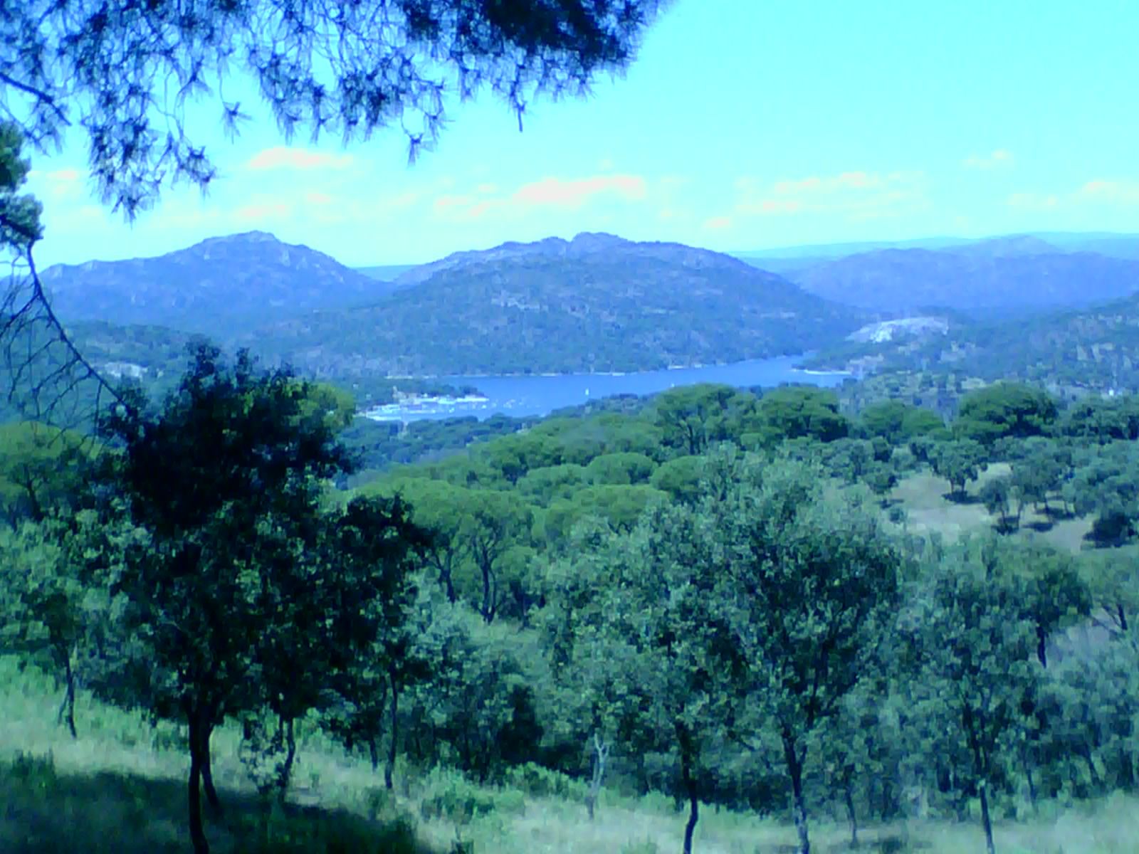 vivajavi