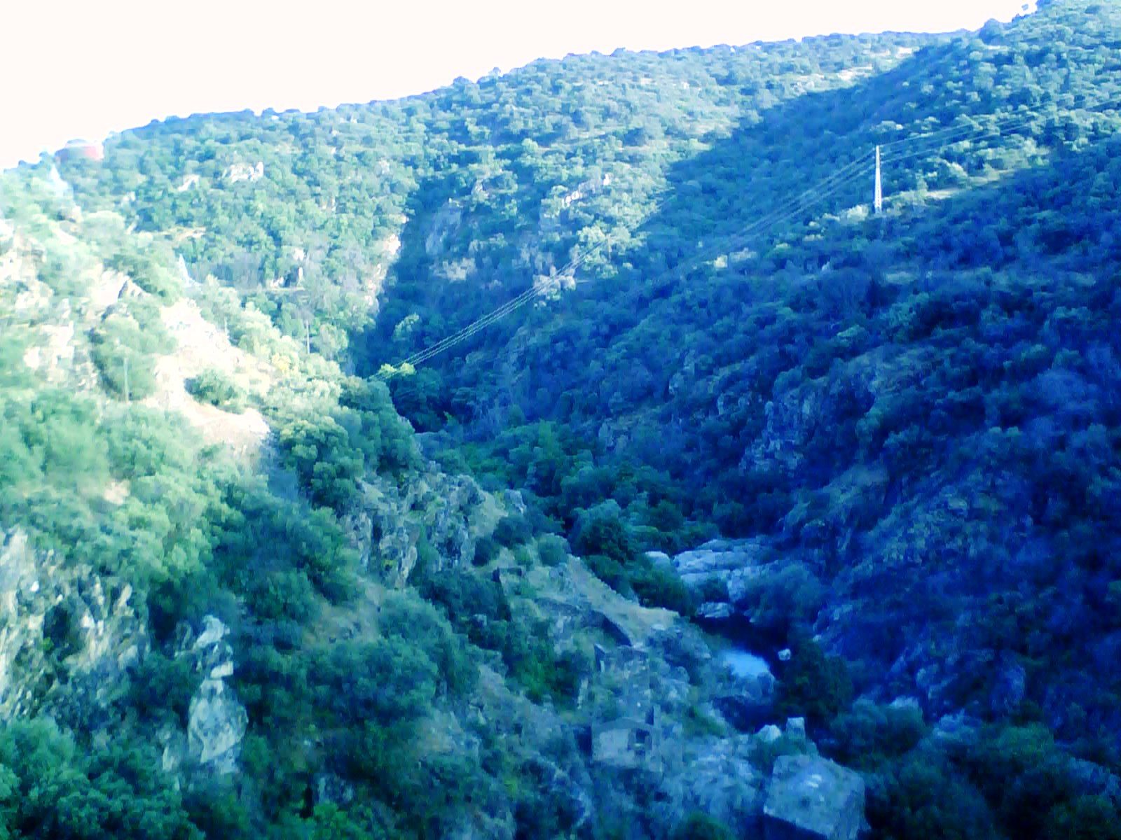 vivajavi