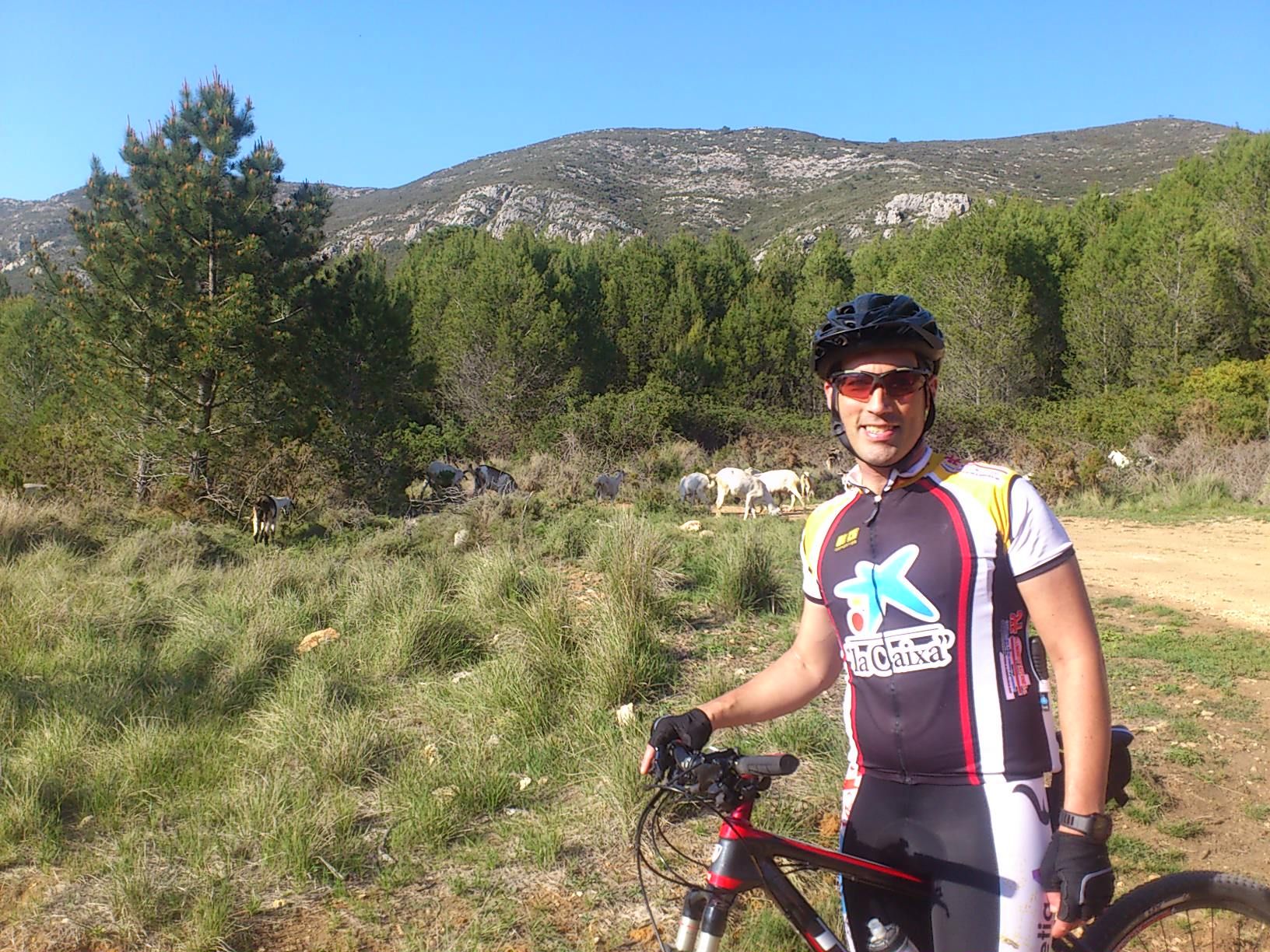 Cérvols/Font del Barber