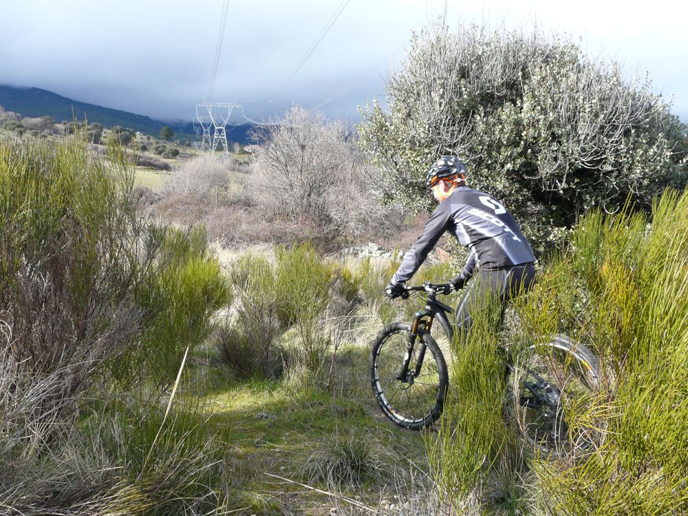 Test de usuarios Canyon. Enrique Domingo Prueba Final