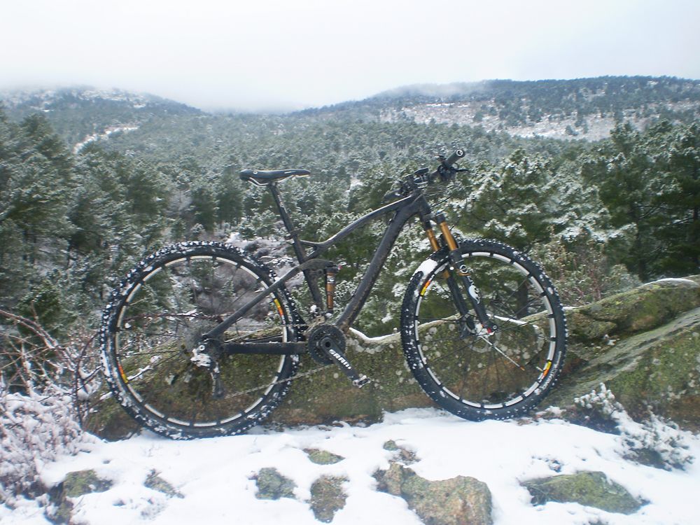 Test de usuarios Canyon. Enrique Domingo Prueba Final