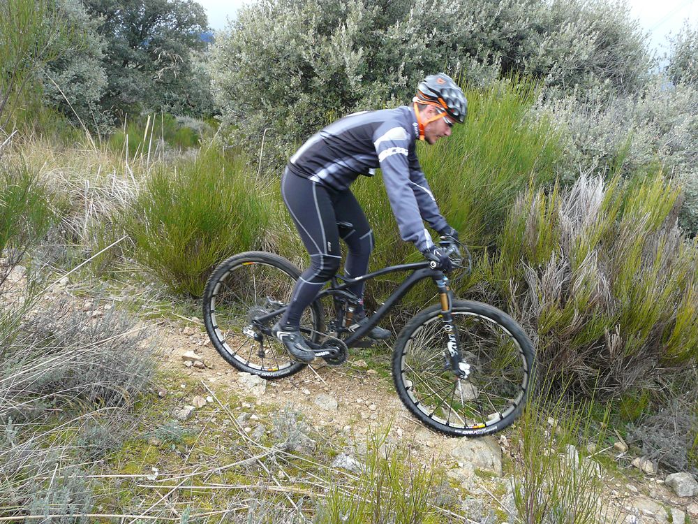 Test de usuarios Canyon. Enrique Domingo Prueba Final