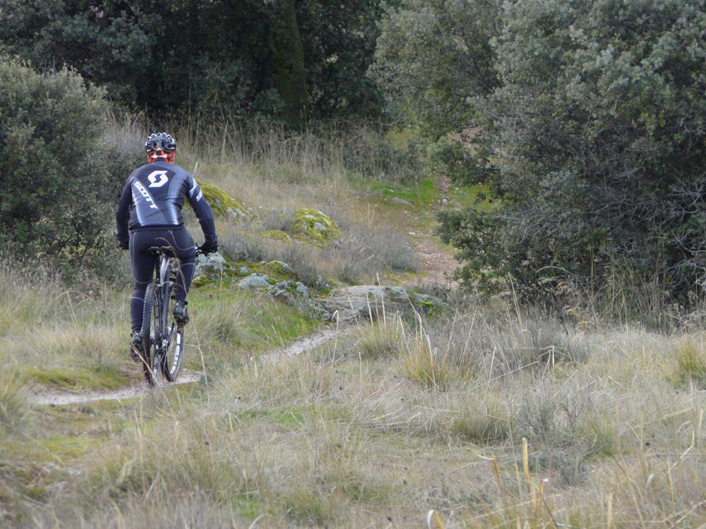 Test de usuarios Canyon. Enrique Domingo Prueba Final