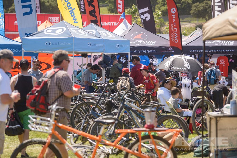 Sea Otter 2014