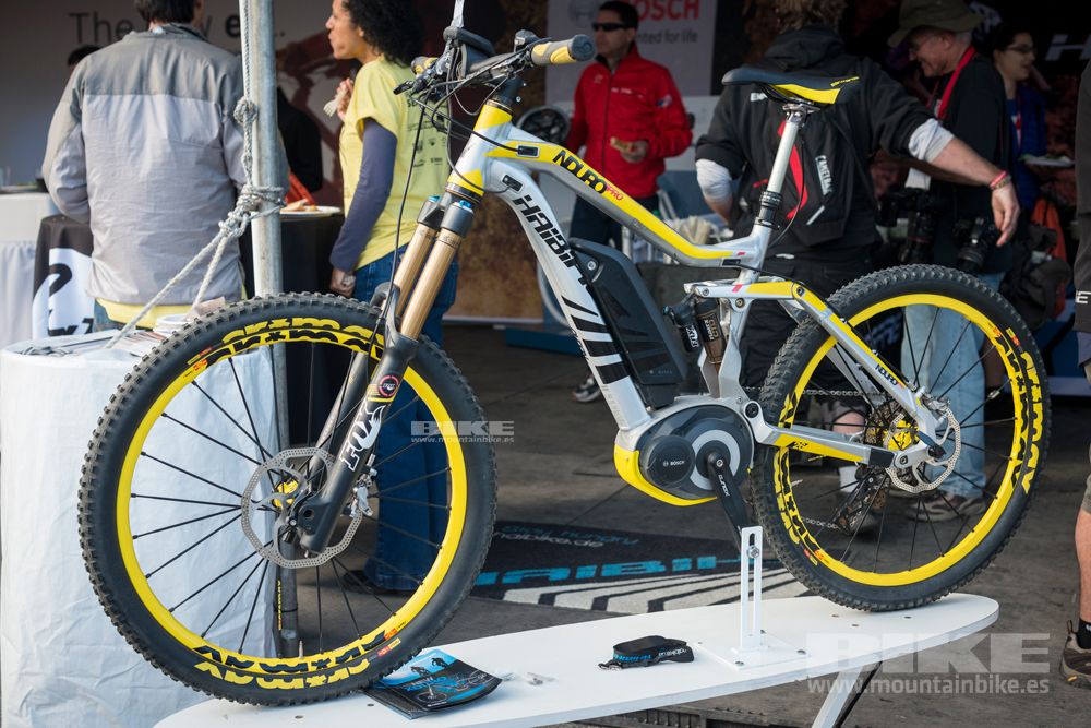 Sea Otter 2014