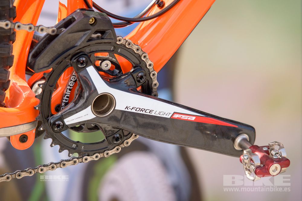 Sea Otter 2014