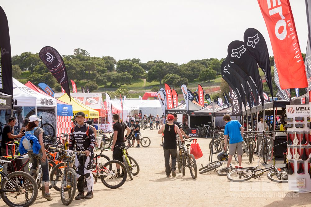 Sea Otter 2014