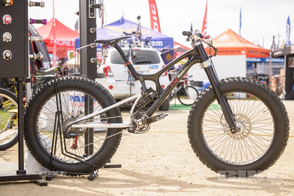 Sea Otter 2014