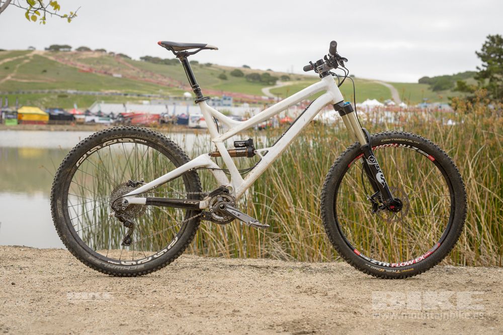 Sea Otter 2014