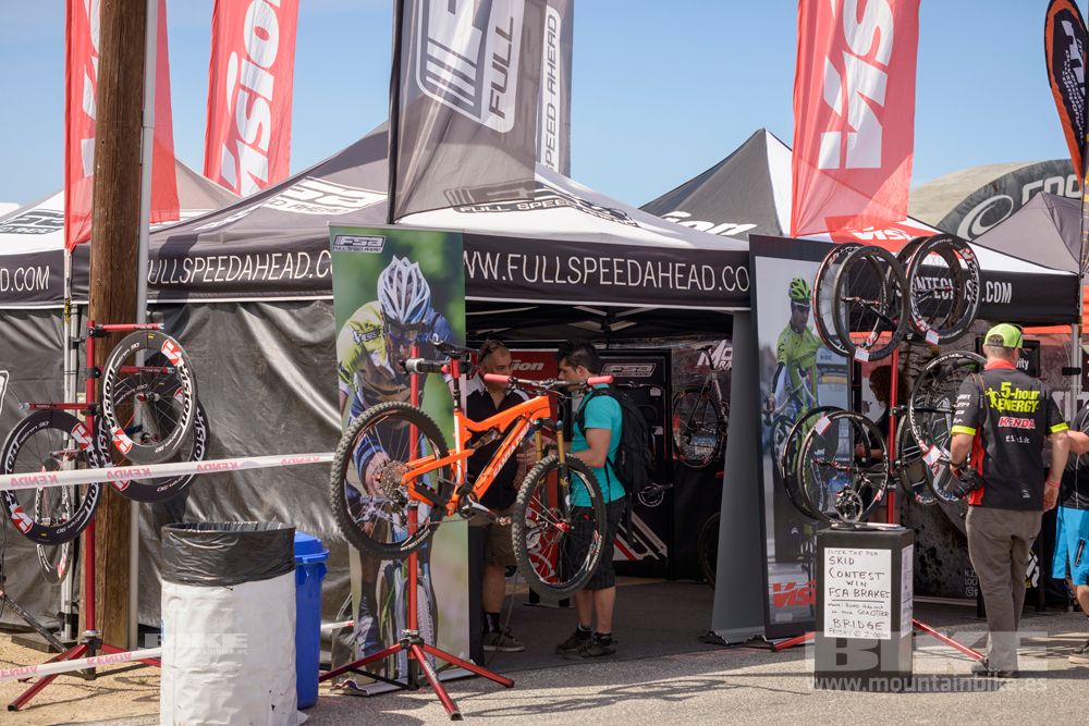 Sea Otter 2014