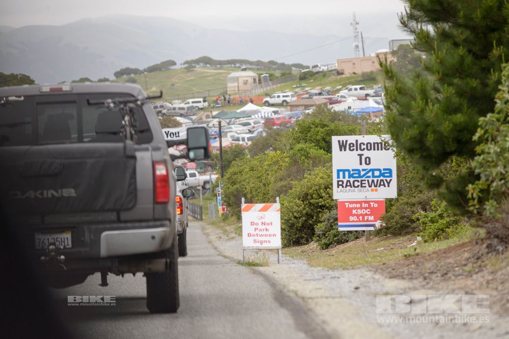Sea Otter 2014