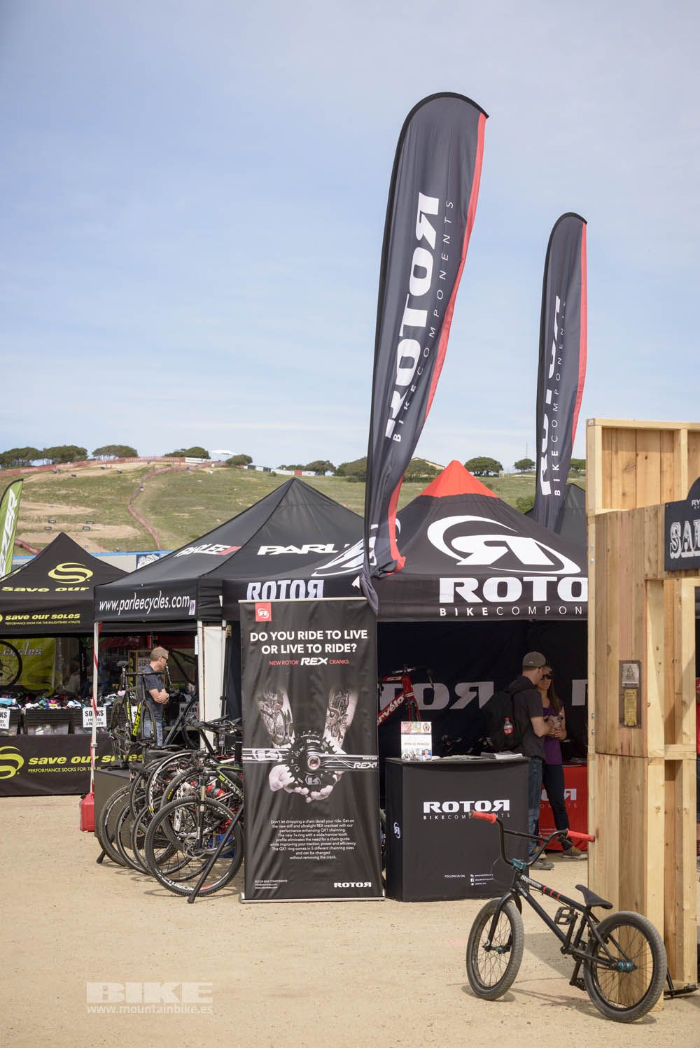 Sea Otter 2014