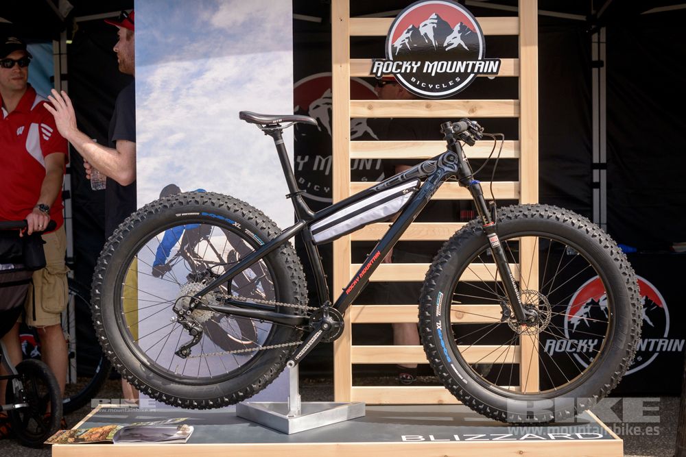 Sea Otter 2014