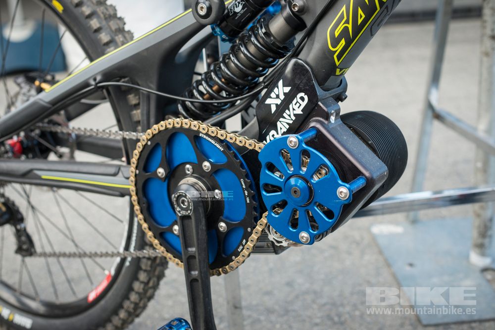 Sea Otter 2014