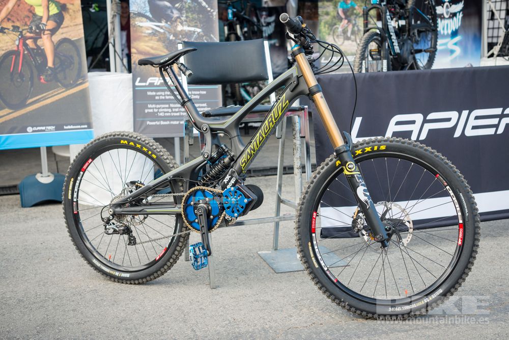 Sea Otter 2014