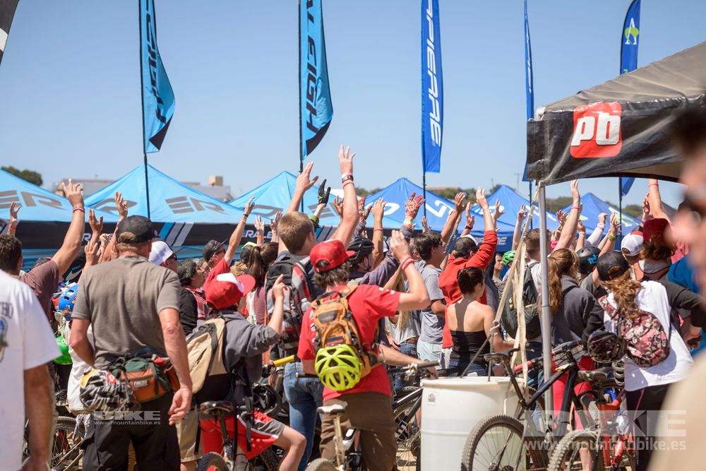 Sea Otter 2014