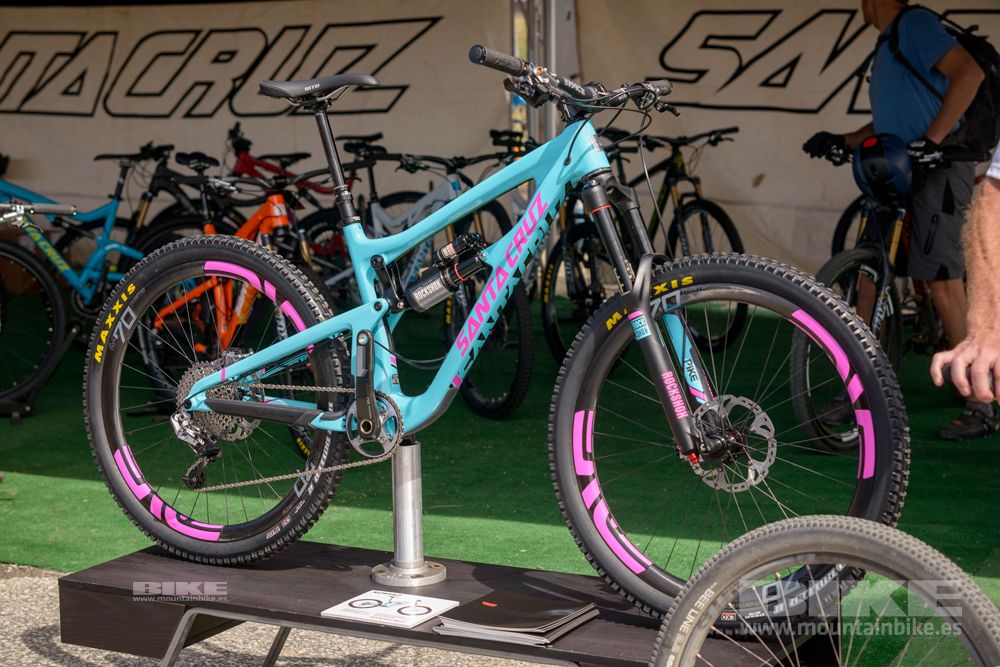Sea Otter 2014