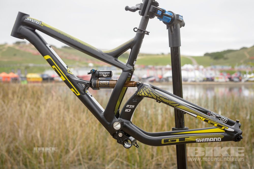 Sea Otter 2014