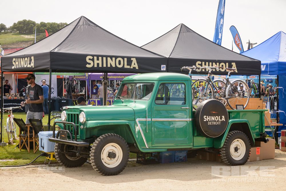 Sea Otter 2014