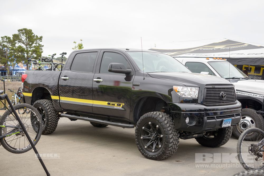 Sea Otter 2014