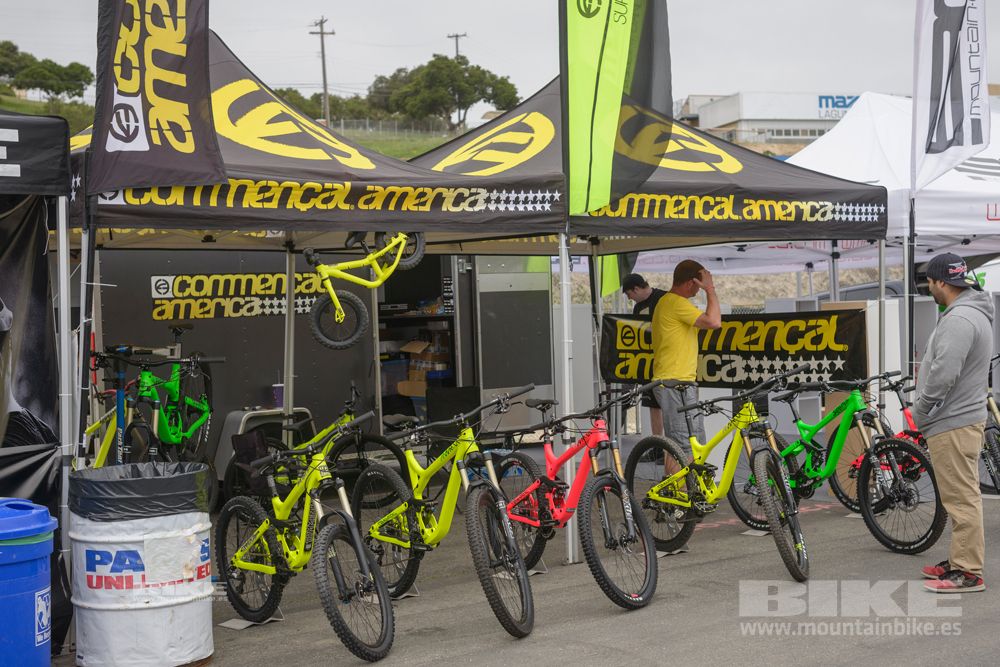 Sea Otter 2014