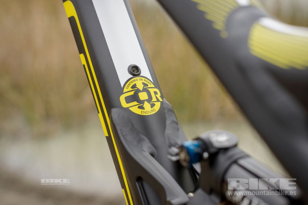 Sea Otter 2014