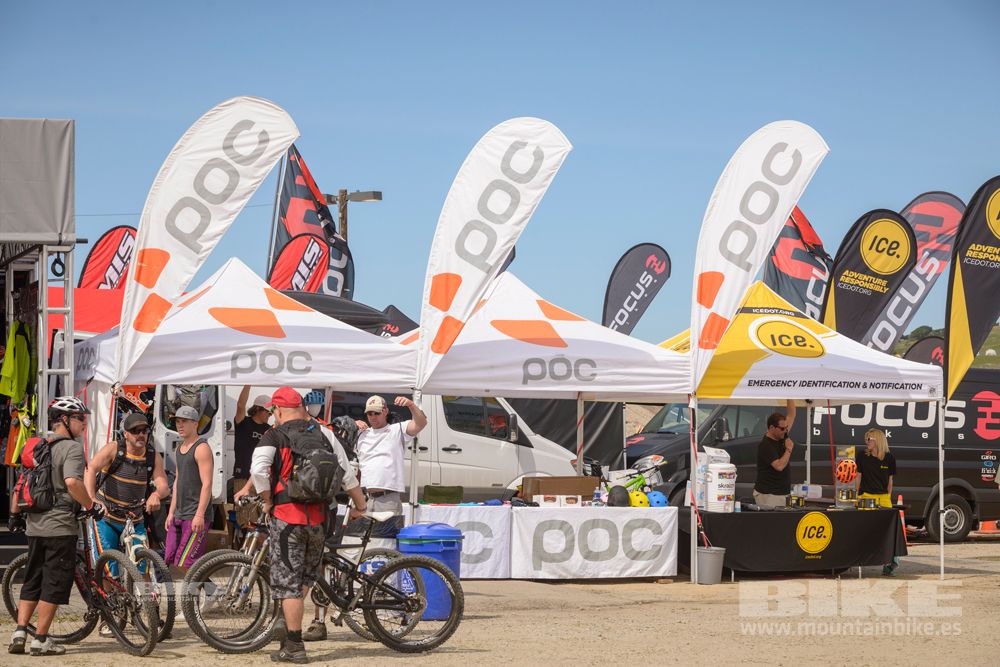 Sea Otter 2014