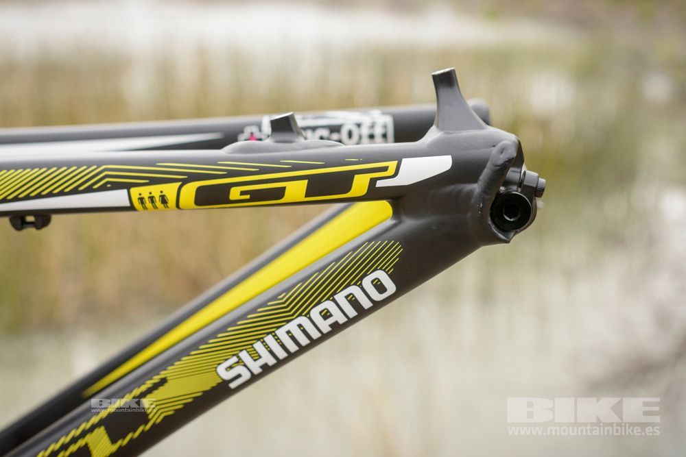 Sea Otter 2014