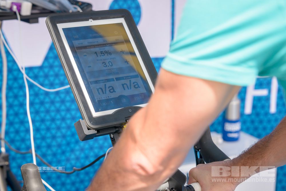 Sea Otter 2014