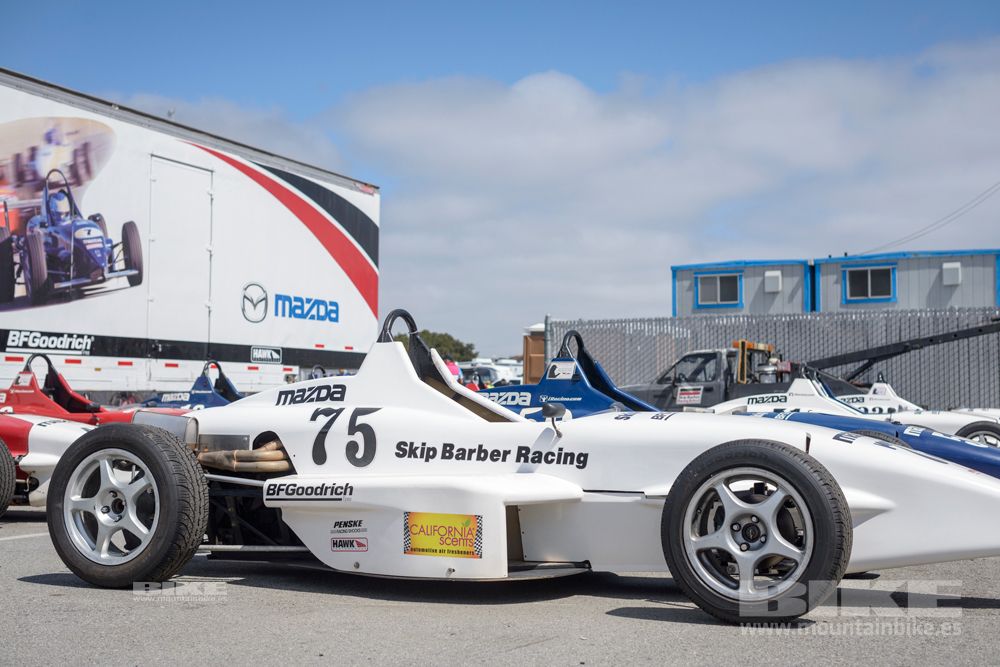 Sea Otter 2014