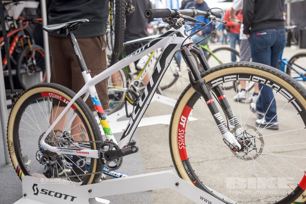 Sea Otter 2014