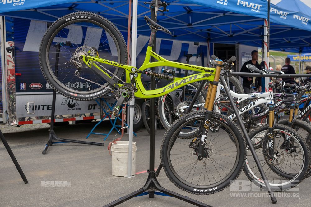 Sea Otter 2014