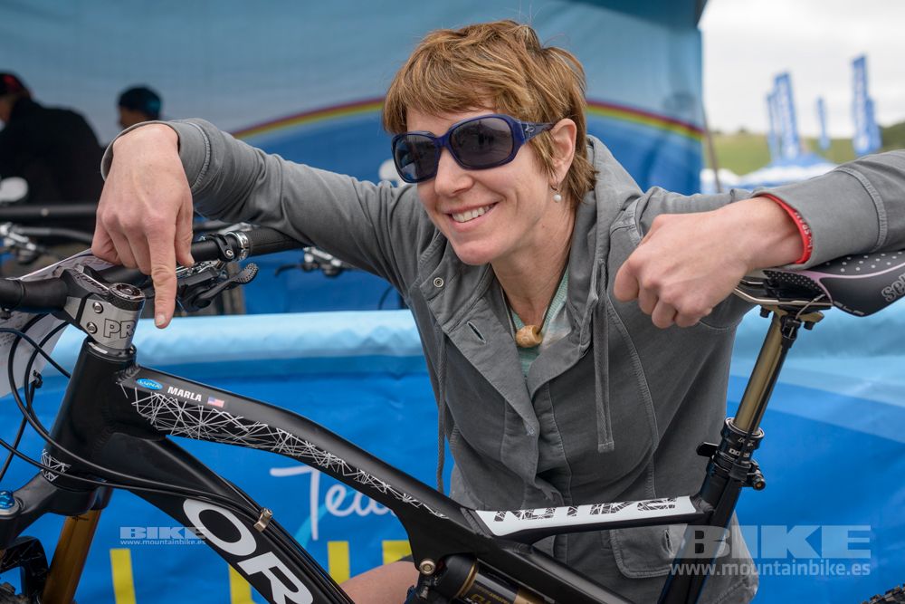 Sea Otter 2014