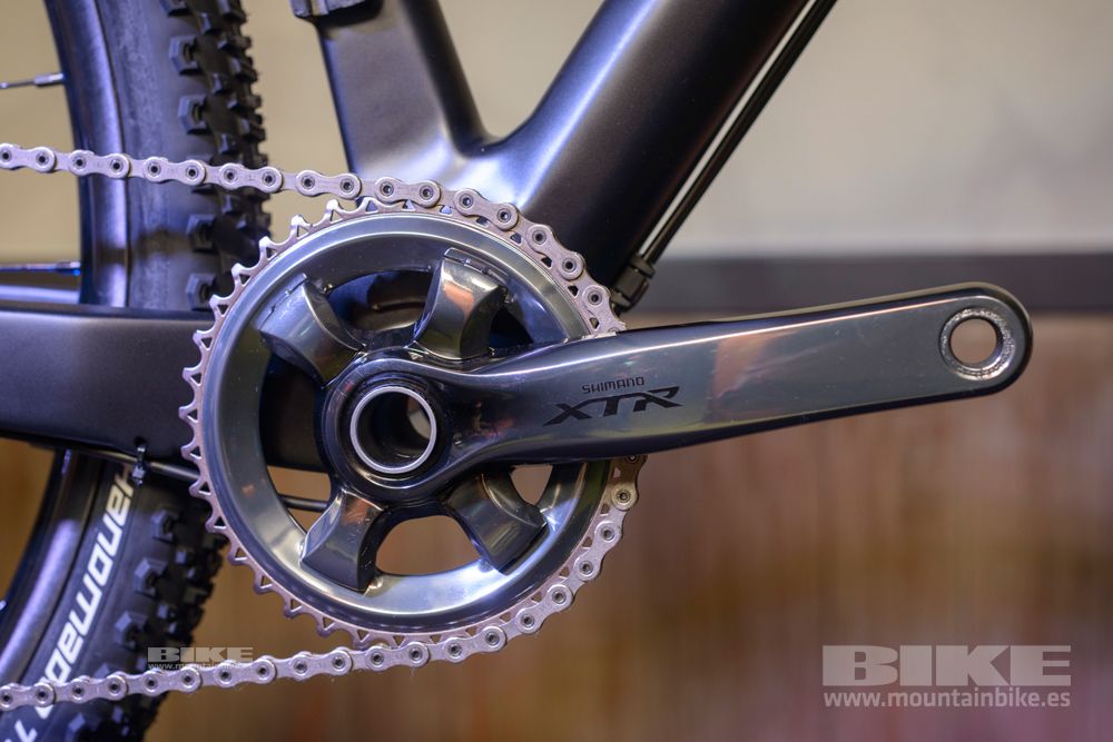 Sea Otter 2014