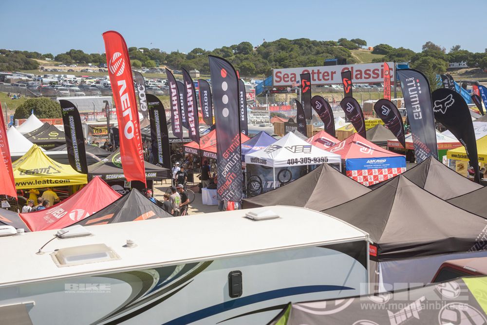 Sea Otter 2014