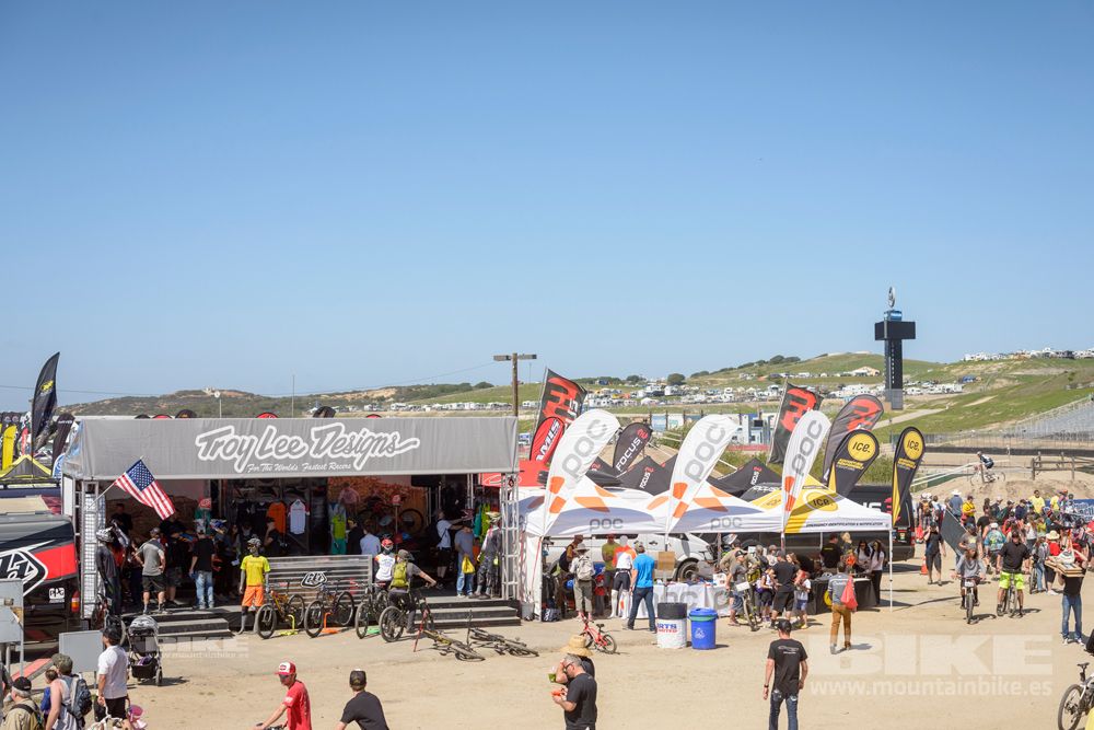 Sea Otter 2014