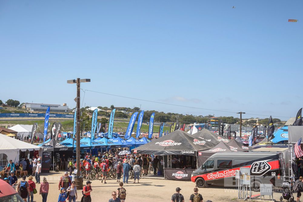 Sea Otter 2014