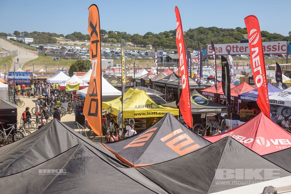 Sea Otter 2014