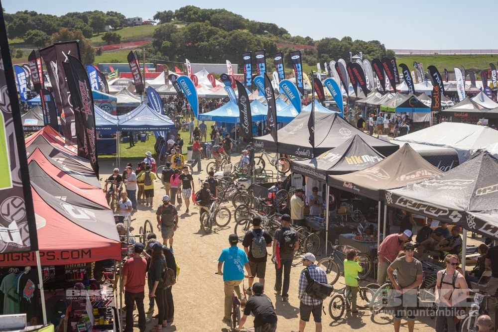 Sea Otter 2014