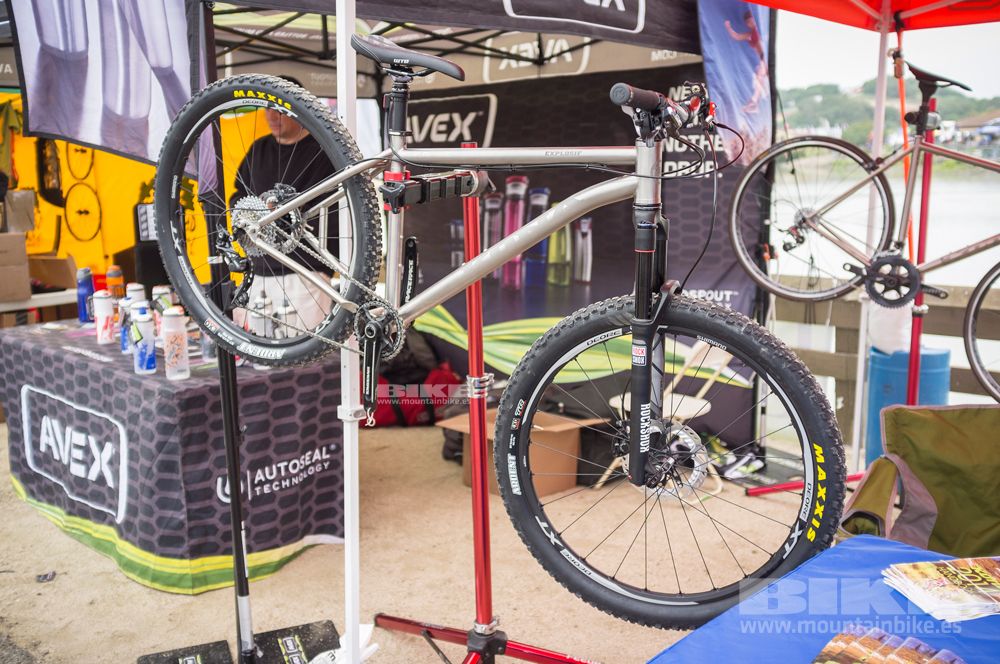 Sea Otter 2014