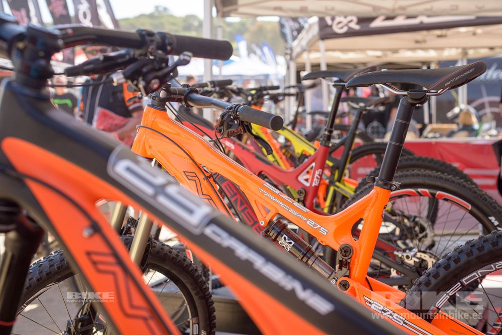 Sea Otter 2014