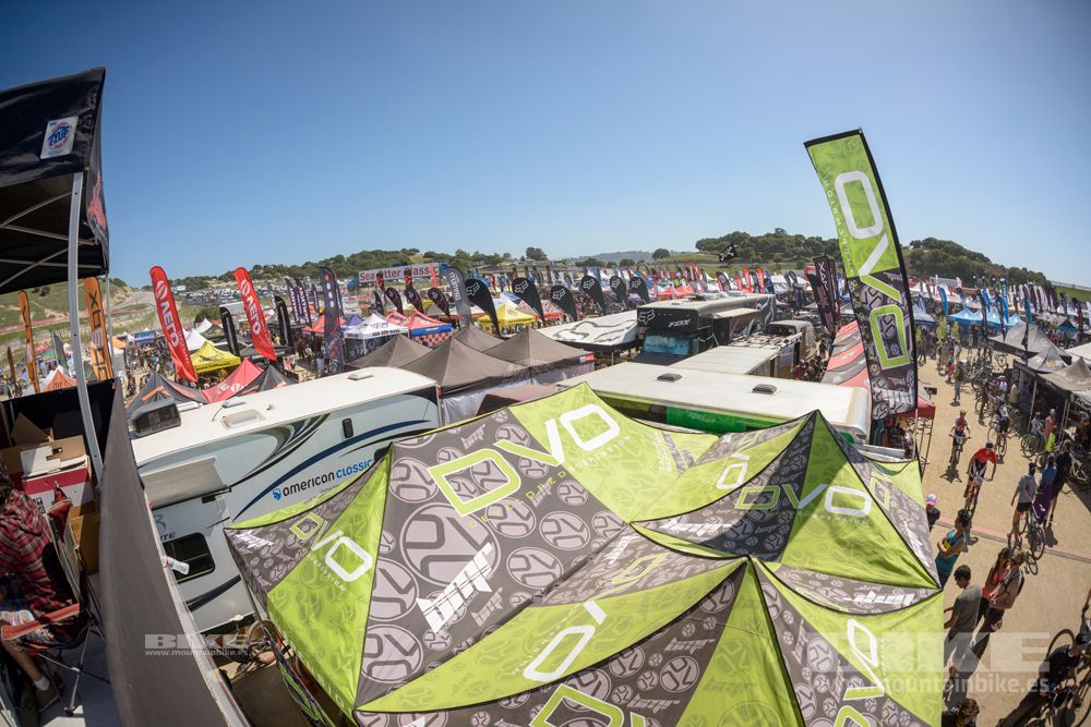 Sea Otter 2014