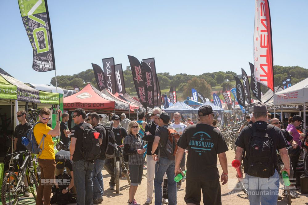 Sea Otter 2014