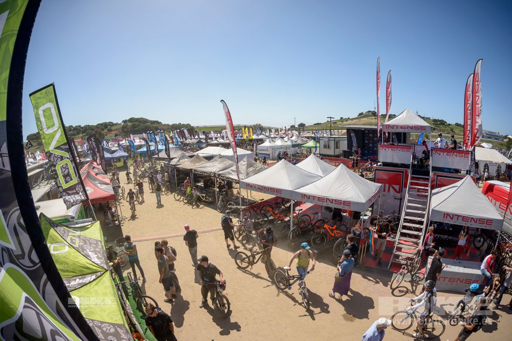 Sea Otter 2014