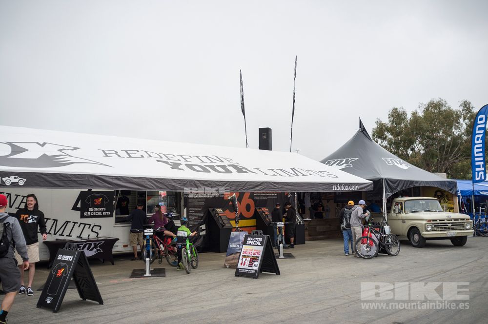 Sea Otter 2014