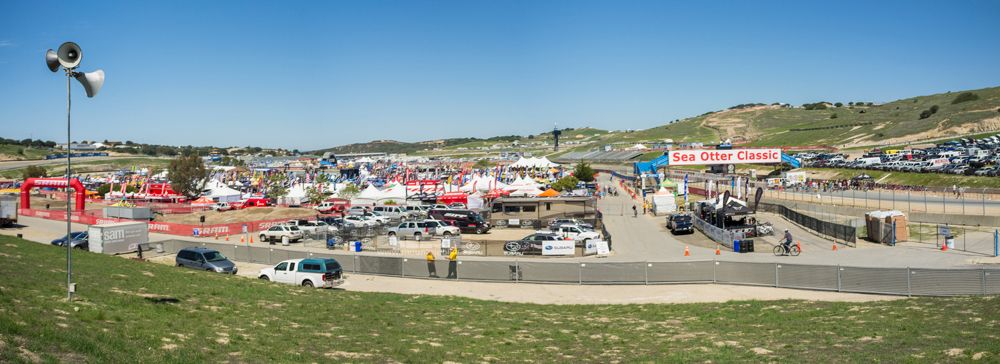 Sea Otter 2014