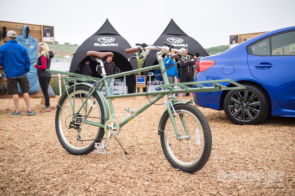 Sea Otter 2014