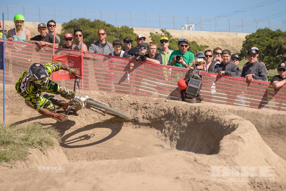 Sea Otter 2014