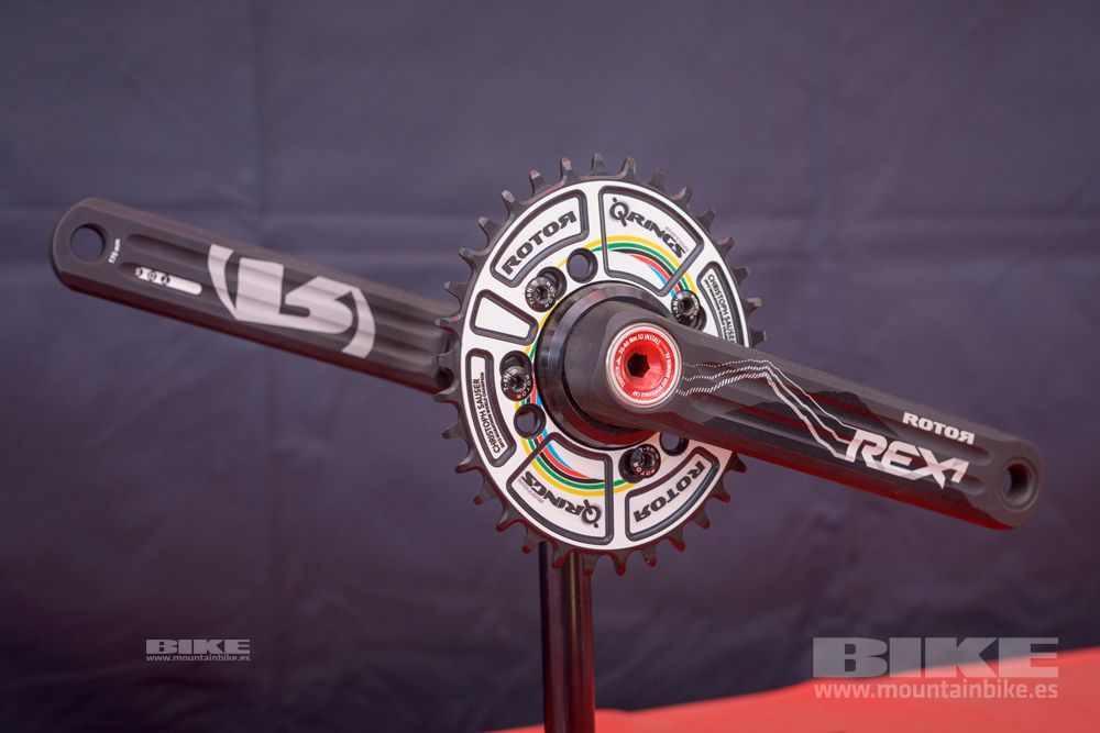 Sea Otter 2014