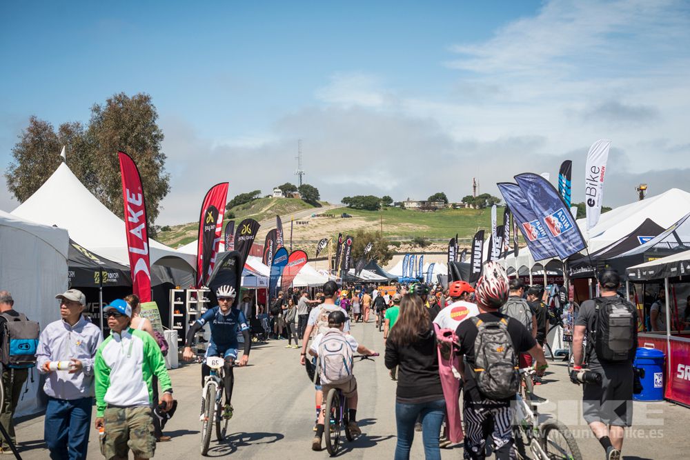 Sea Otter 2014